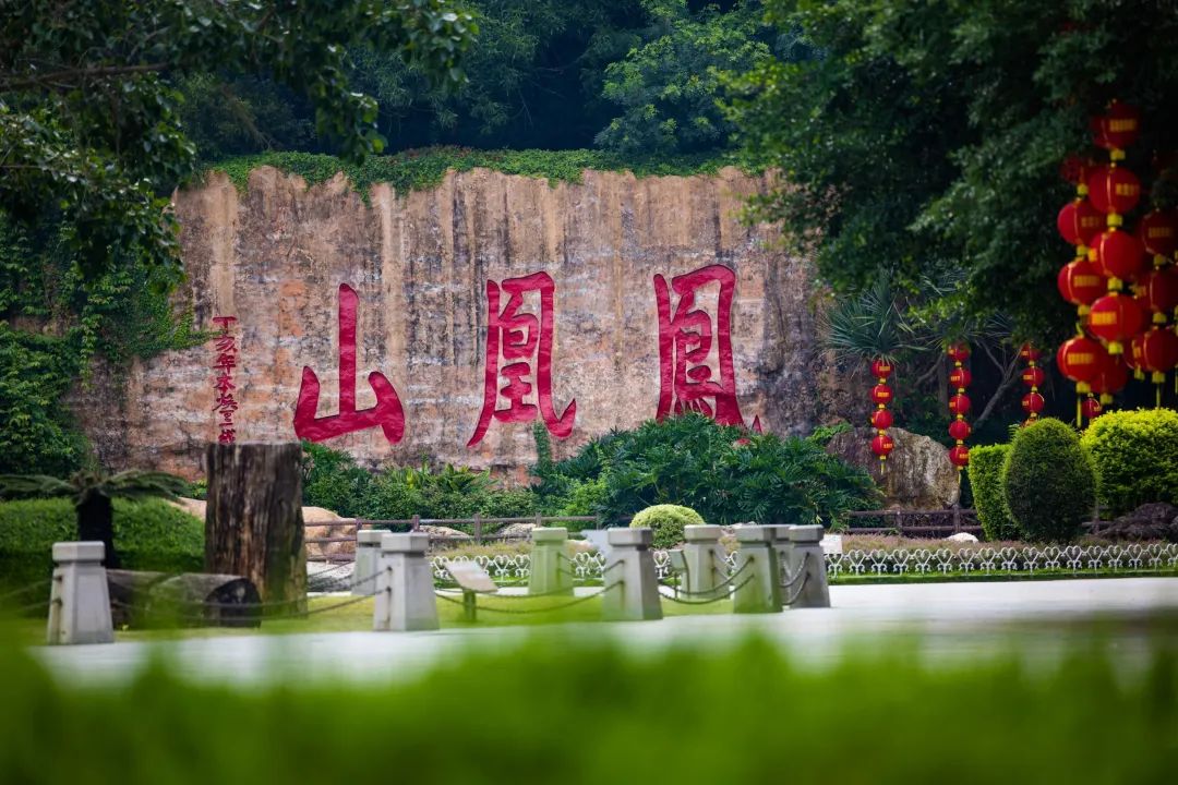 深圳凤凰山有条绿道叫什么,深圳凤凰山绿道旅游攻略