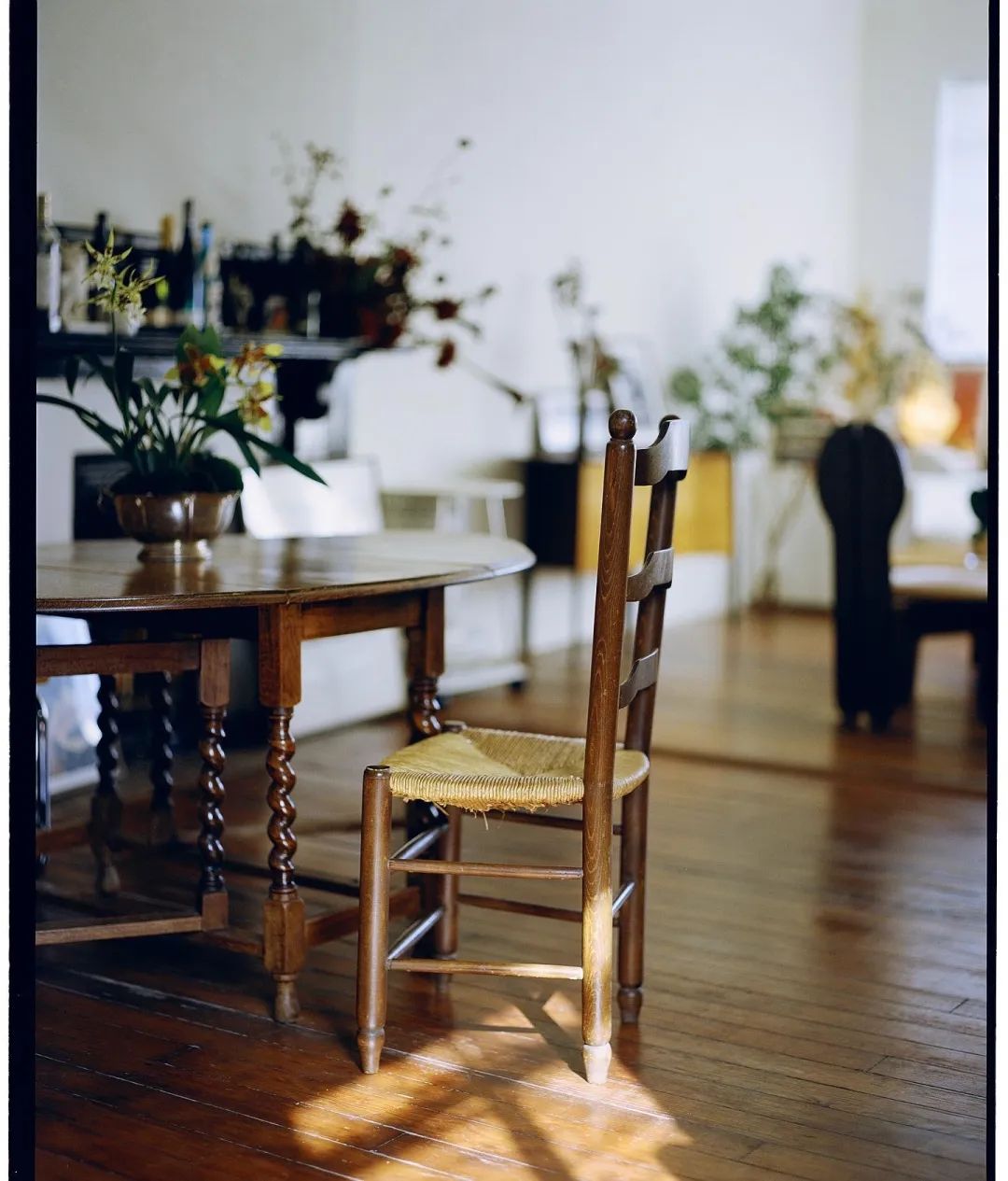 独居上瘾,独居真的很上瘾