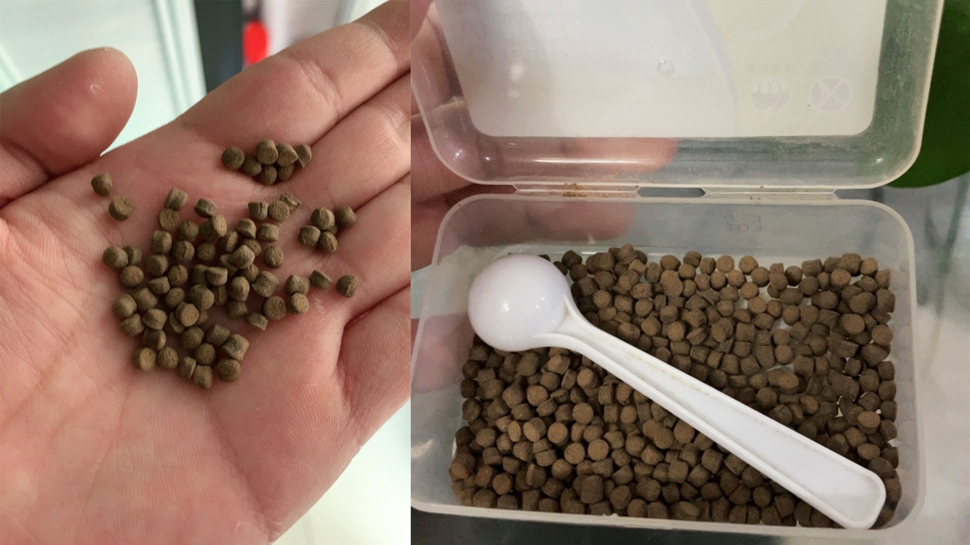 鱼缸水质试纸,亚硝酸盐高鱼缸