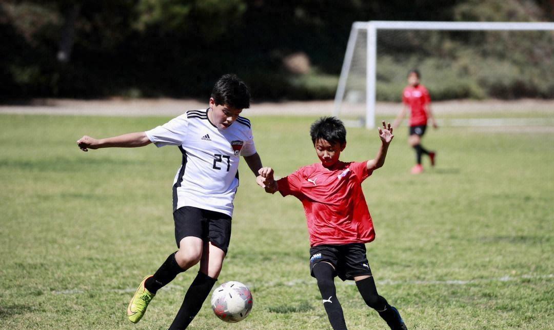 最坑人的培训班,最坑人的培训机构有哪些