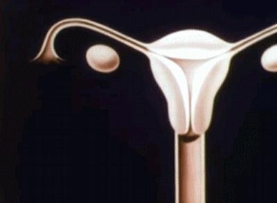 如果你不知道怎么对孩子进行性教育,一定要带他看这7个教育视频