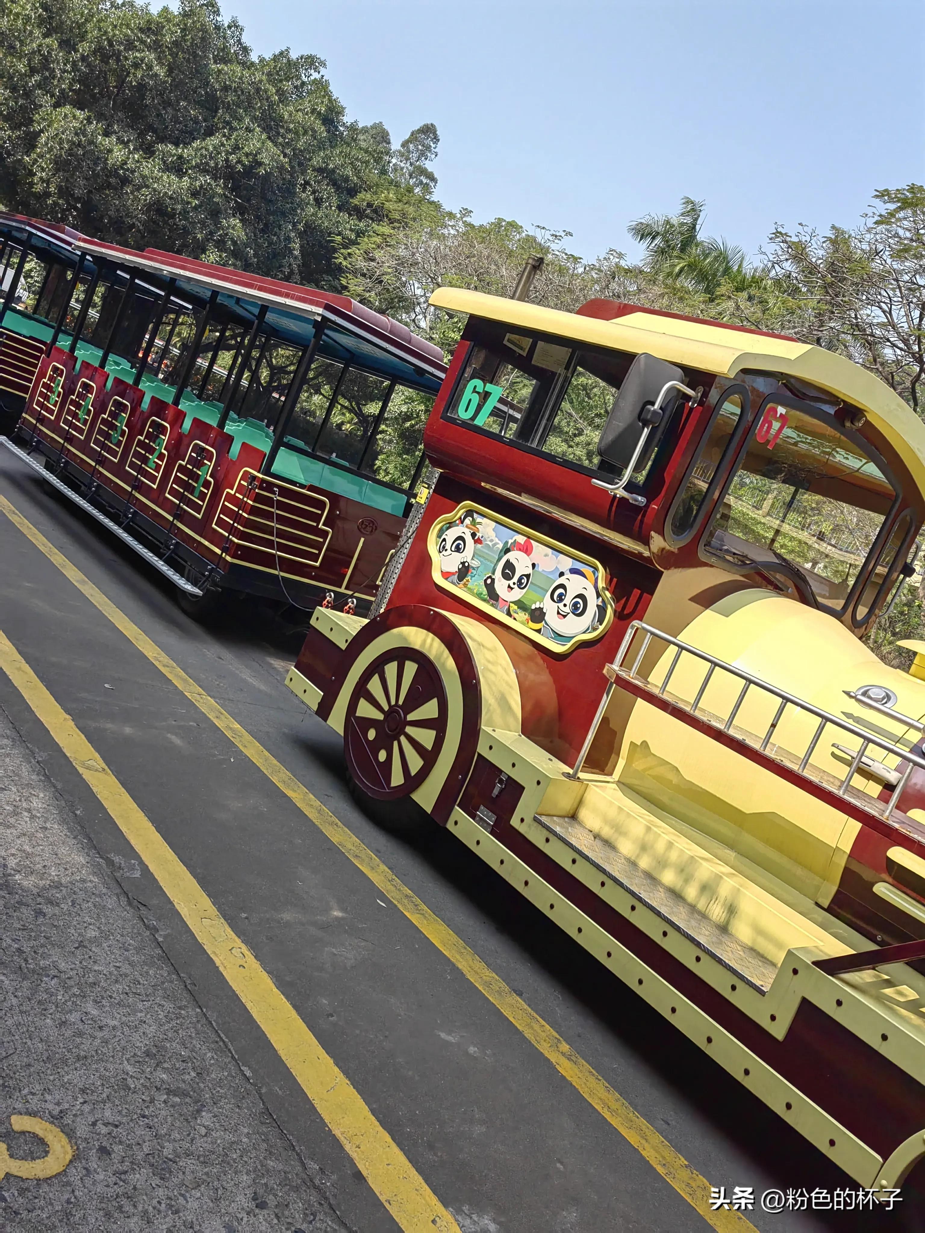 长隆野生动物园南门步行攻略,山东去广州长隆野生动物园攻略