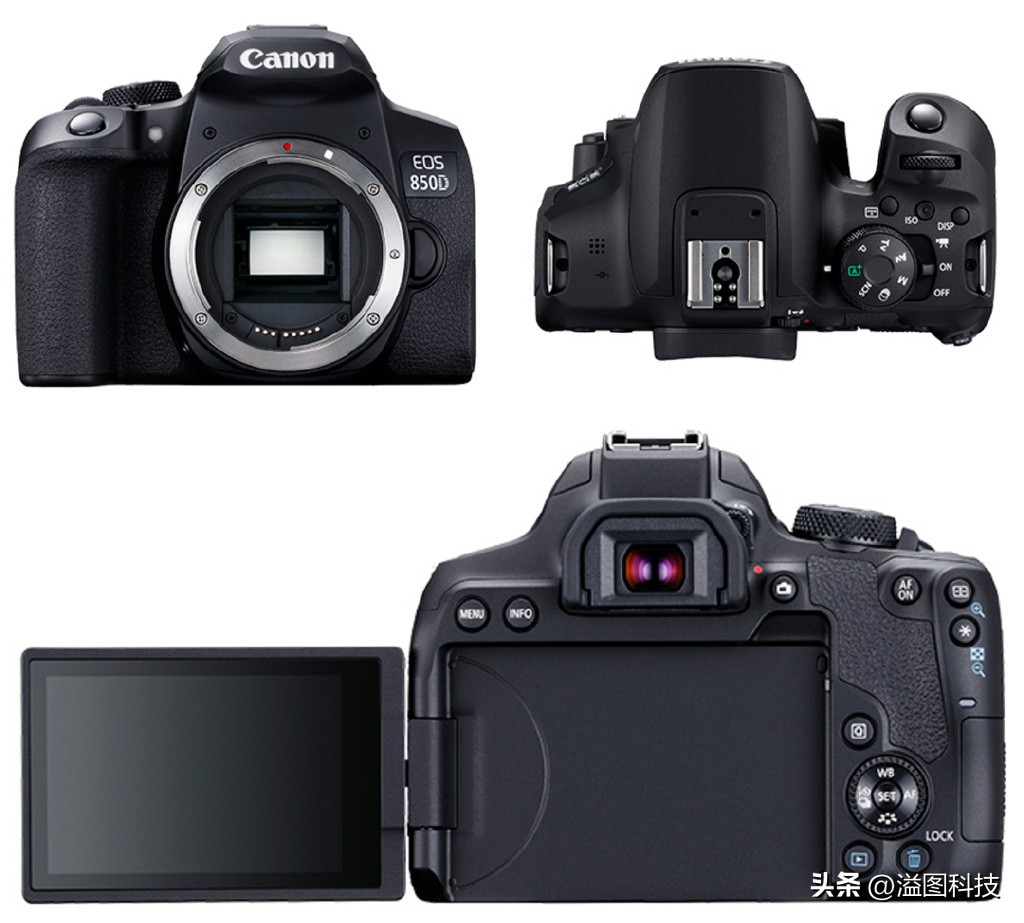 最强的微单,入门级数码单反推荐