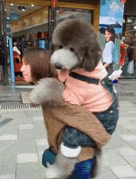 老婆坦白出轨道歉老公回答太硬核,老婆坦白出轨丈夫崩溃