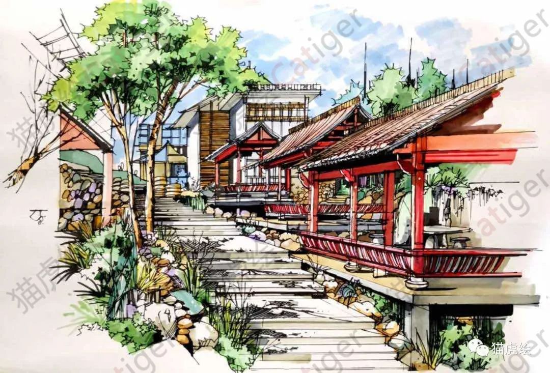 2022猫虎绘暑假手绘班招生简章「线上+线下」