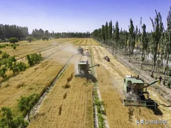 今天三月初七,你知道是什么日子吗?老祖宗的谚语怎么说