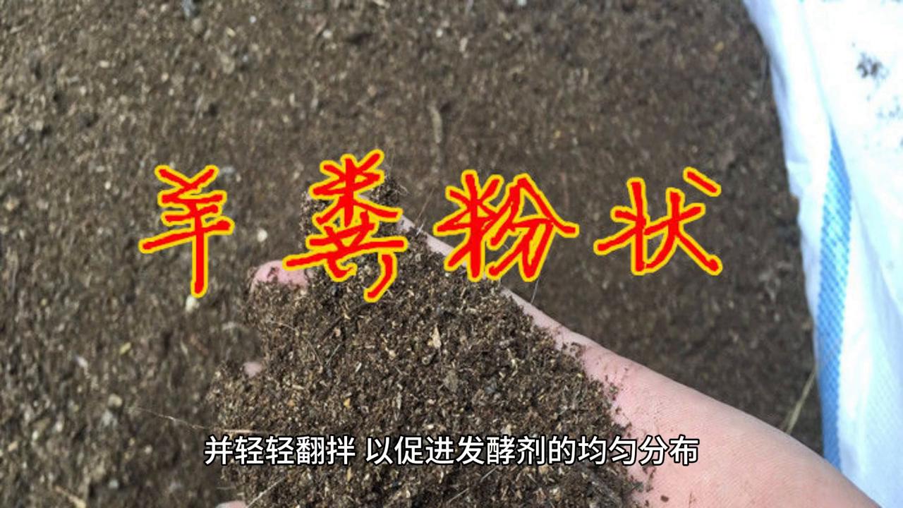 家庭养鸡的鸡屎怎么发酵有机肥,鸡屎如何发酵成粪