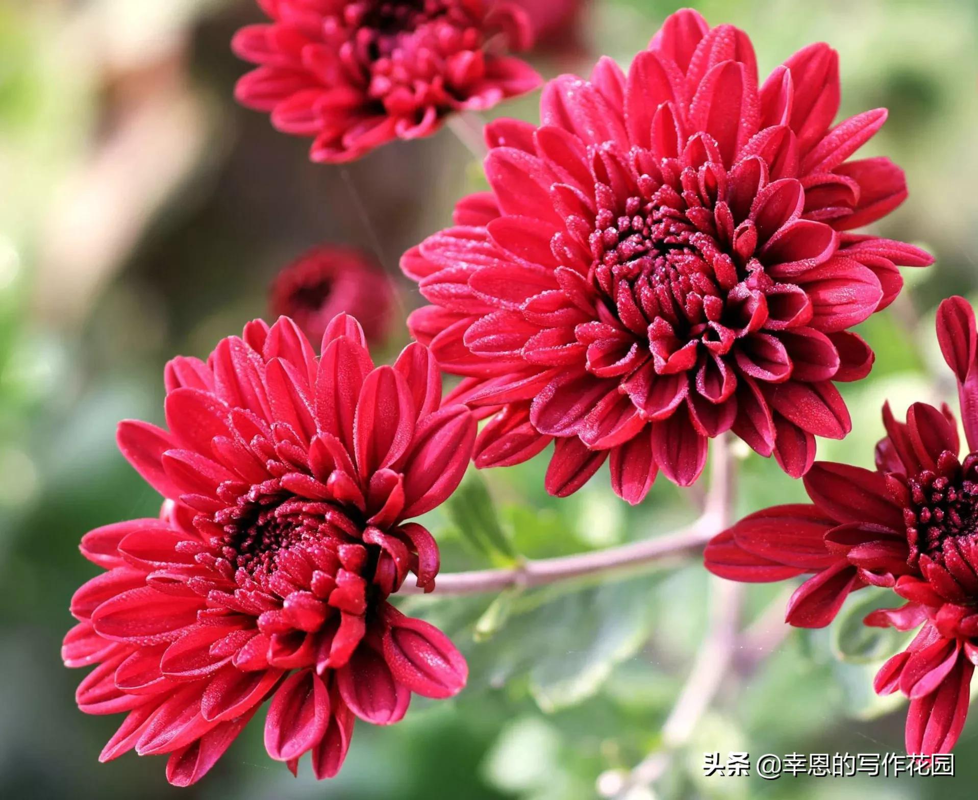 写文章结构思路,写文章的思路结构