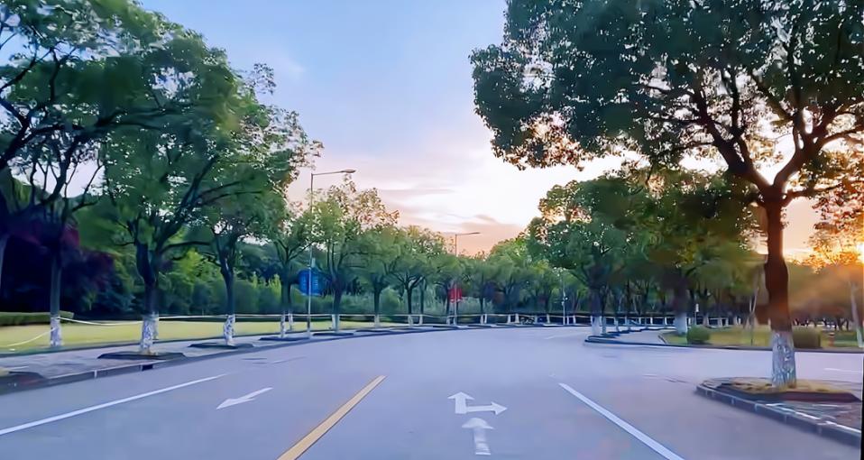 上海大学招生新政策,高考报考的上海大学有哪些