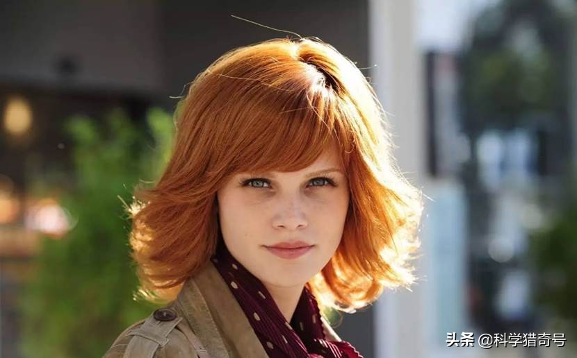 大量荷兰女孩来我国上海，表面上是来旅游，实际上是为了做代购