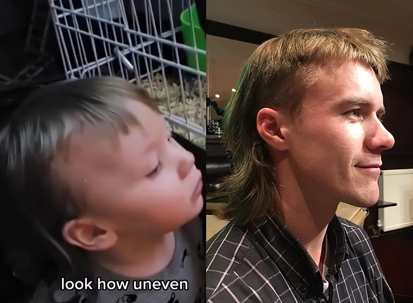 加拿大妈妈发现儿子头发莫名“越留越短”，居然是被家里豚鼠啃得