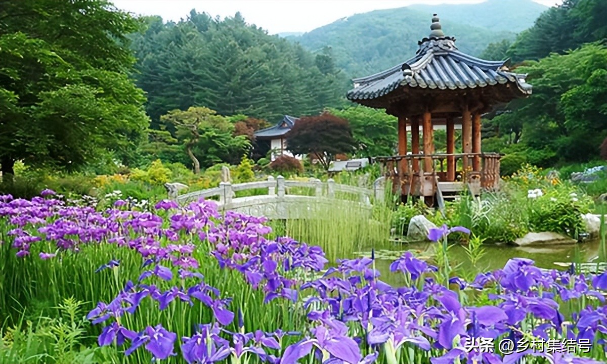 韩国晨静花园,韩国晨静树木园设计方案