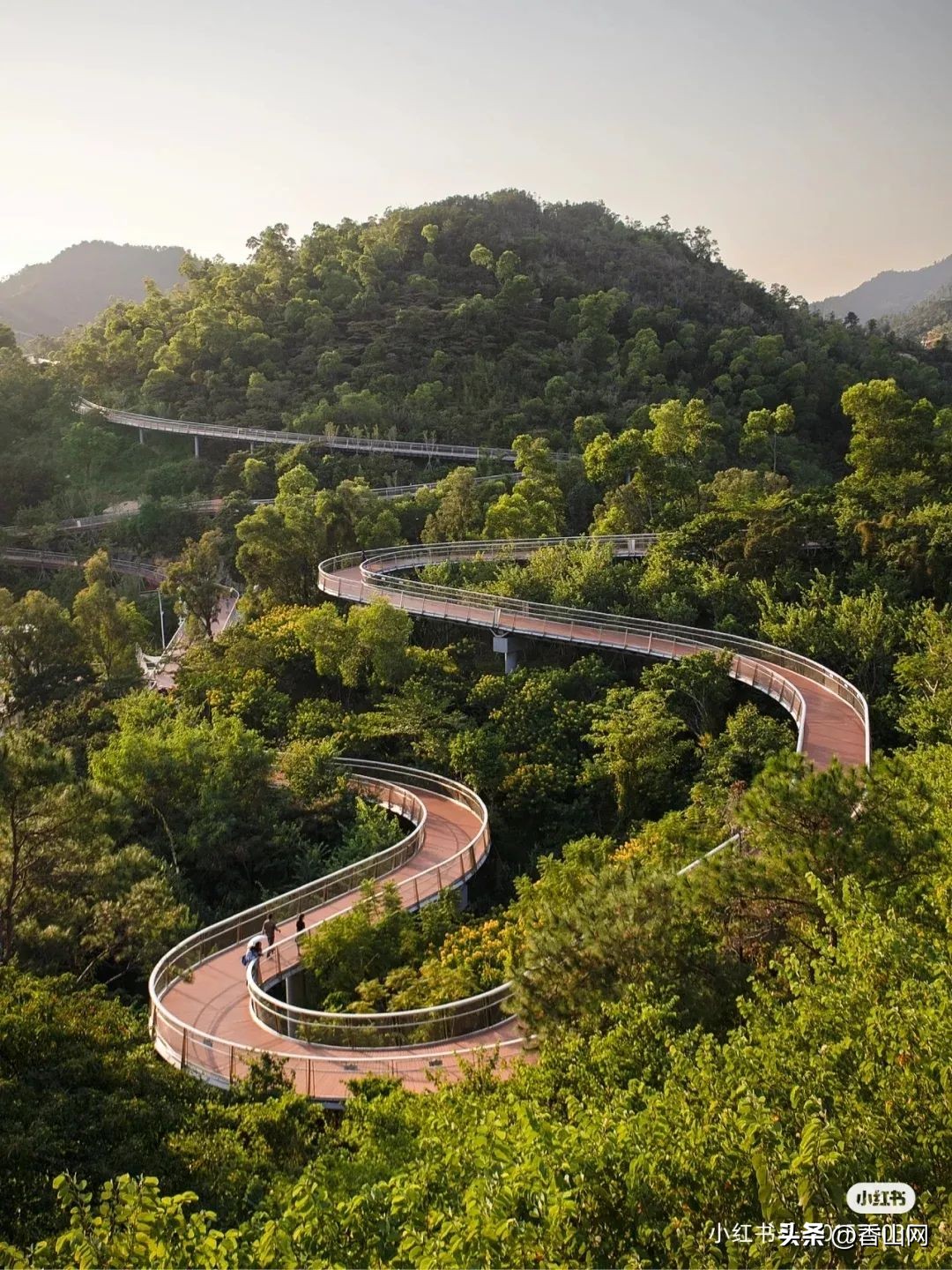 珠海香山湖公园云山栈道一游,珠海香山云道风景太美了
