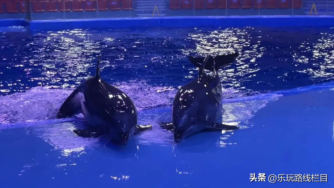 假面潮玩,假面潮玩节