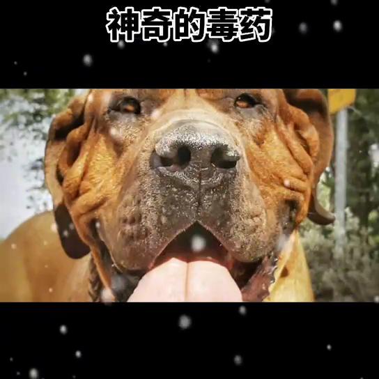 民间传说故事大全兄弟分家,民间传说故事大全诡异