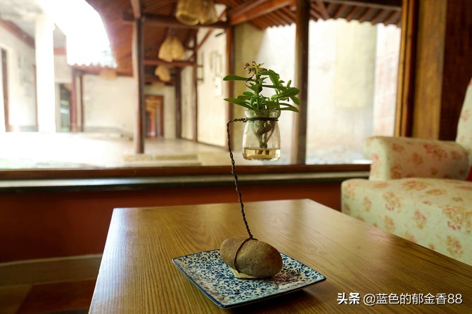 无名河我心中的伊甸园,画出我心中的伊甸园