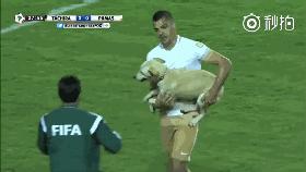 狗子冲进球场,狗子闯进足球比赛