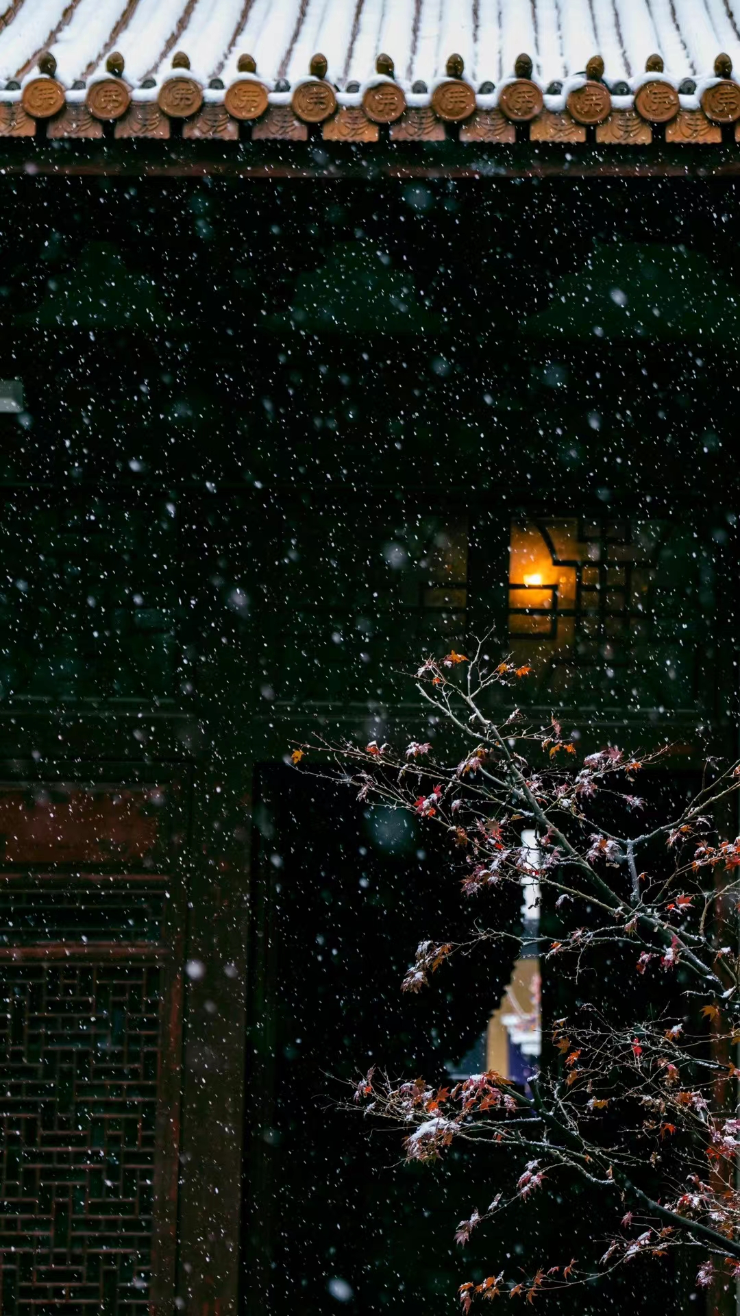 修行者的智慧与慈悲,修行者最好的状态