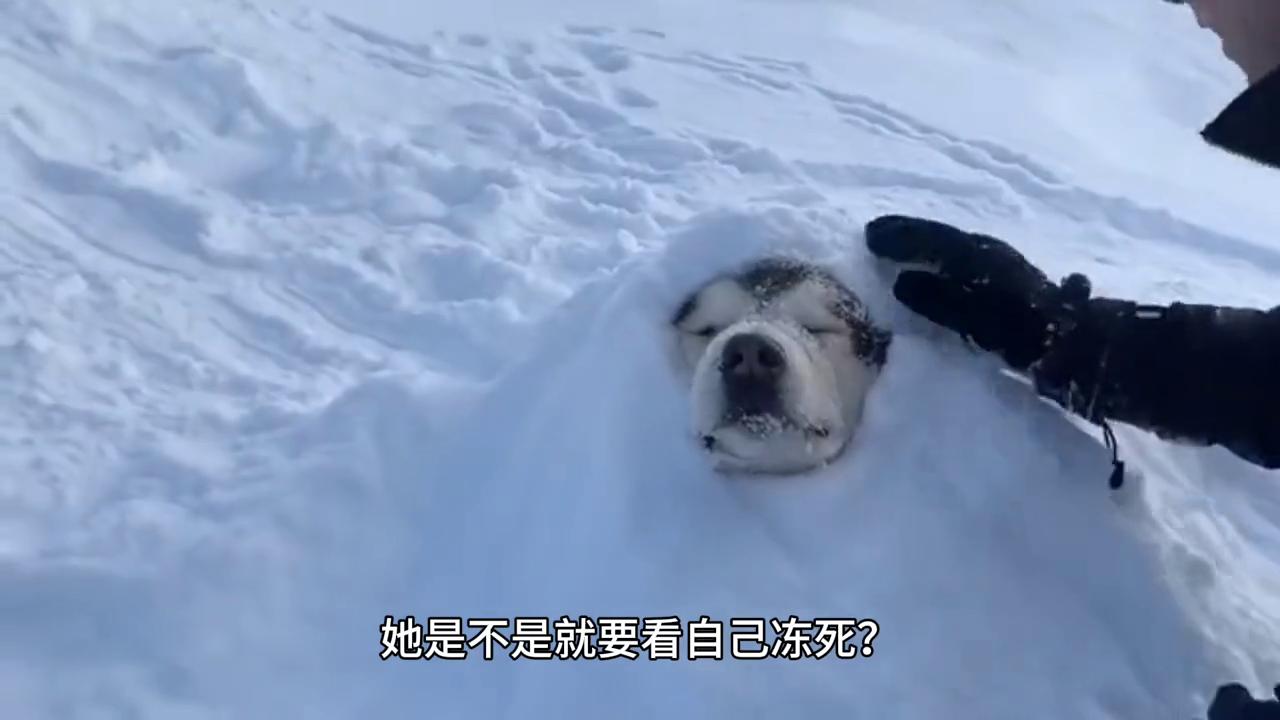 鐤壒澶,鐤壒澶