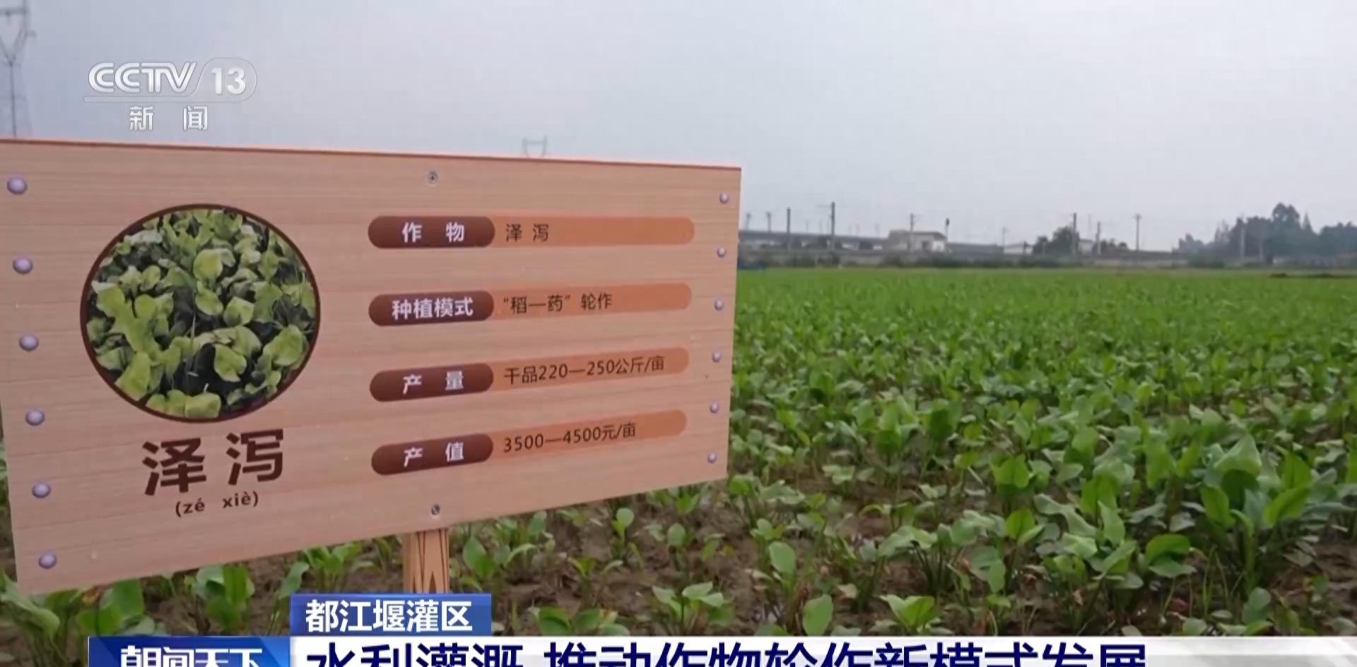 涓涓细流浩瀚江河原声,涓涓细流浩瀚江河解释