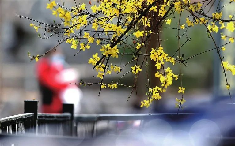 太原周边赏花地方,正是踏青时太原赏花路线图发布