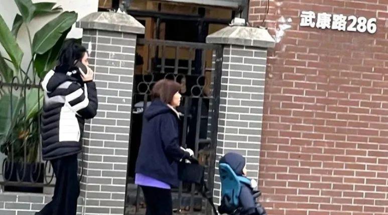 豪门清流与育儿知识,豪门育儿实例视频