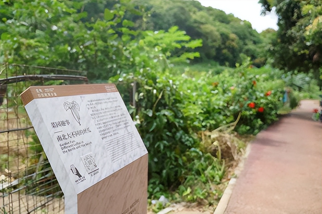 坪山金龟生态艺术小镇,坪山全域自然博物步道