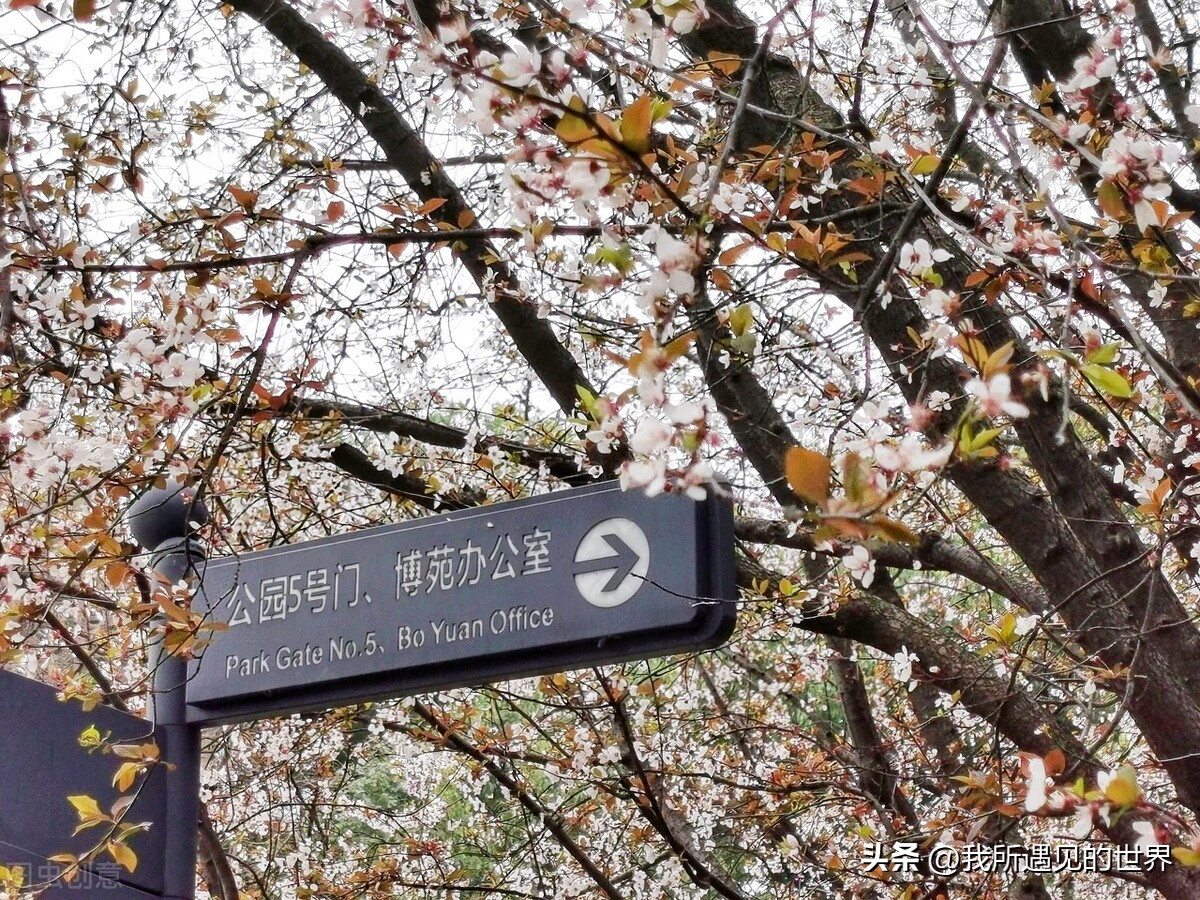 涓婃捣绻佽姳鎵撳崱鏅偣,涓婃捣鎵撳崱鏅偣