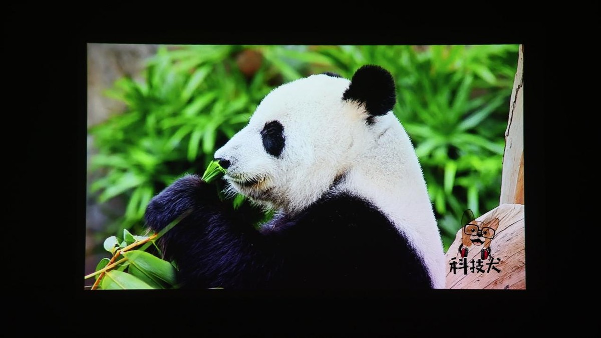 联想小新520投影仪观影效果,联想小新520投影仪测评