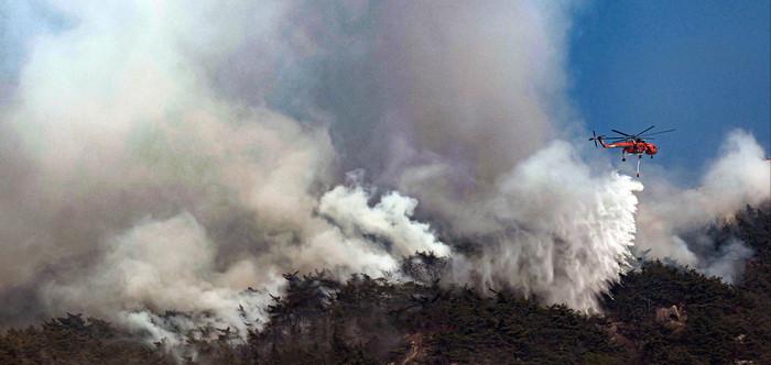 韩国首尔景福宫和青瓦台,韩国森林大火最新