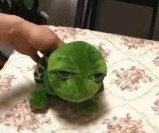 双眼皮怎么做又省钱又好看,做双眼皮的10个常识