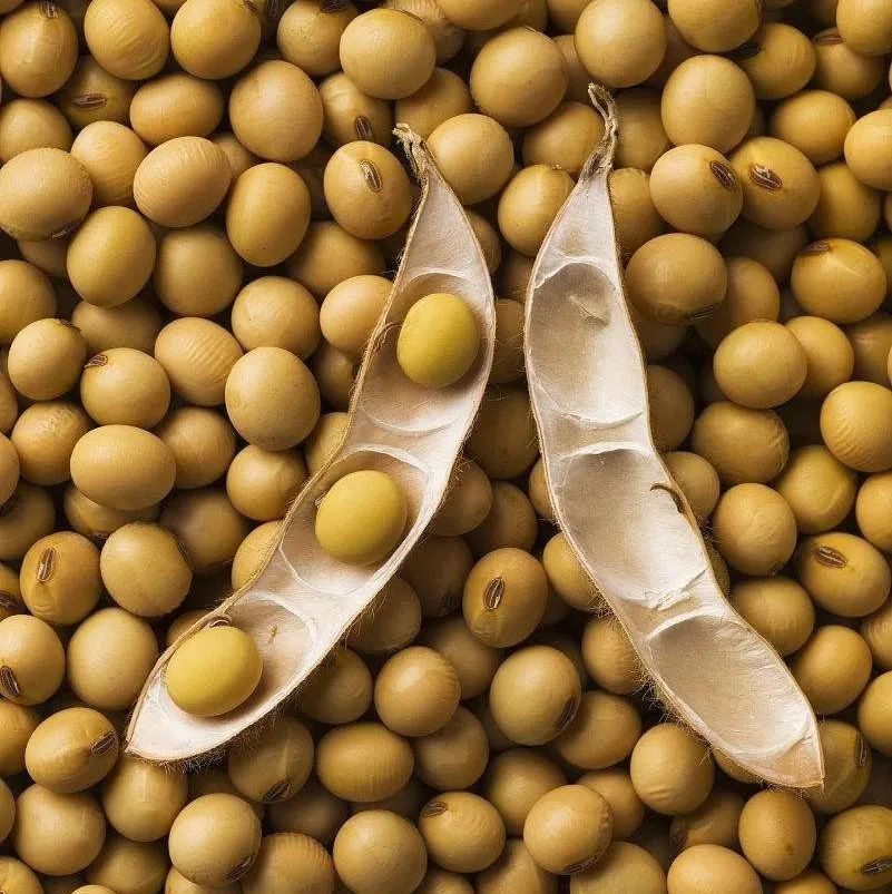 大豆异黄酮是处方药吗,大豆异黄酮是药还是补品