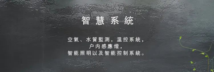 本则设计|兮觅真境，尘世之美