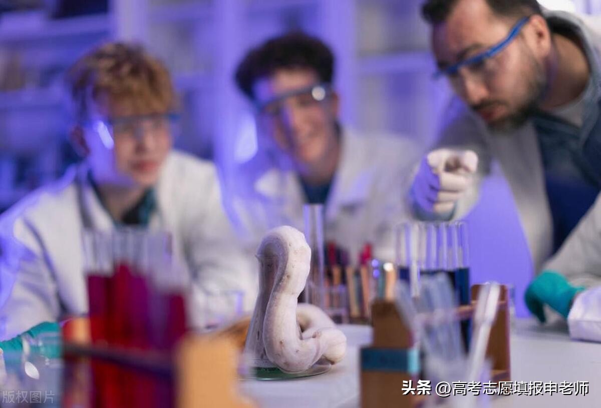 到底是读理科好还是工科好,理科与工科有什么区别哪个好