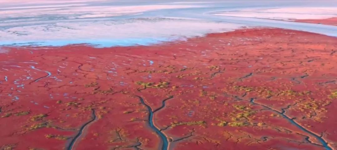 西藏的世界之树,西藏最大的大地之树