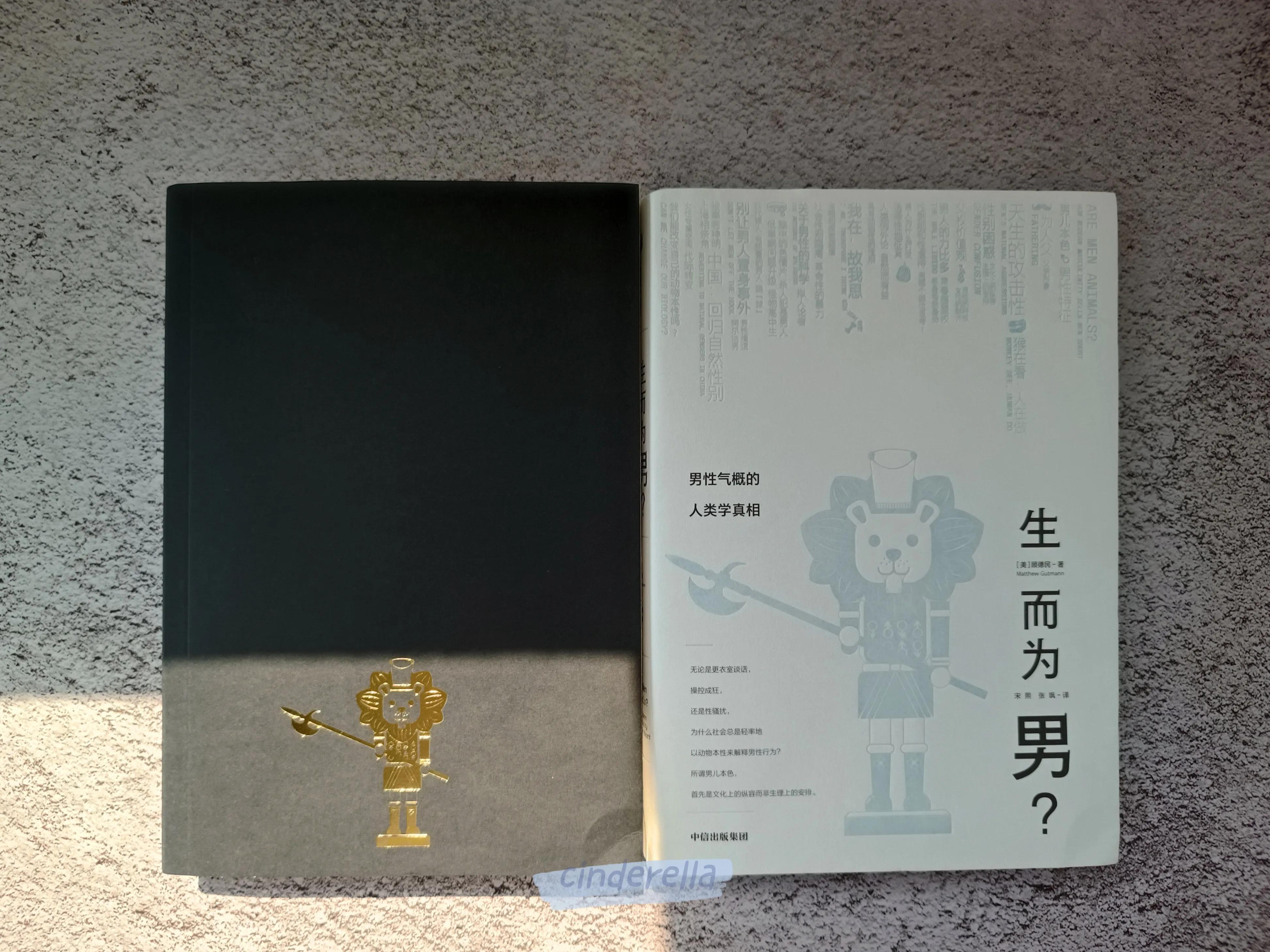 生而为男,生而为人男生经典版