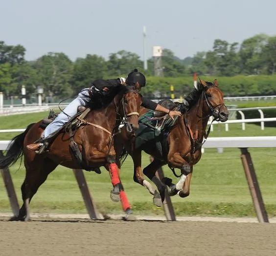 骑手落马,骑手落马马匹失控