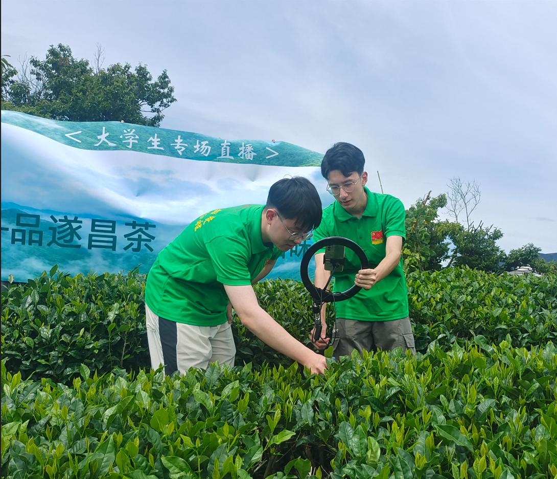 “全校服务全域”的浙农林担当
