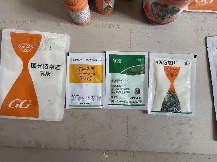 12月份园林绿化养护工作重点,元月份园林养护重点工作