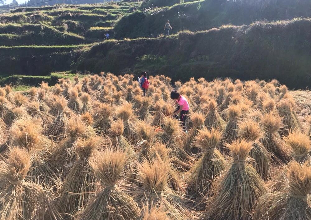 70-80后儿时的5个生活场景，你还记得吗？这是你儿时的快乐吗？