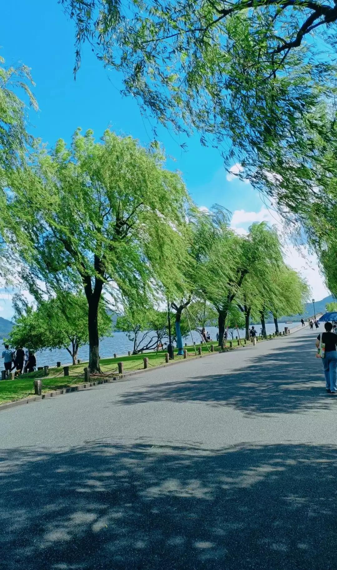 浙江最值得去的十大景区,浙江玉环十大景区排名