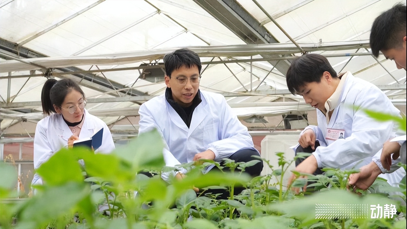 大学科技园建设进展,大学科技园建设与发展