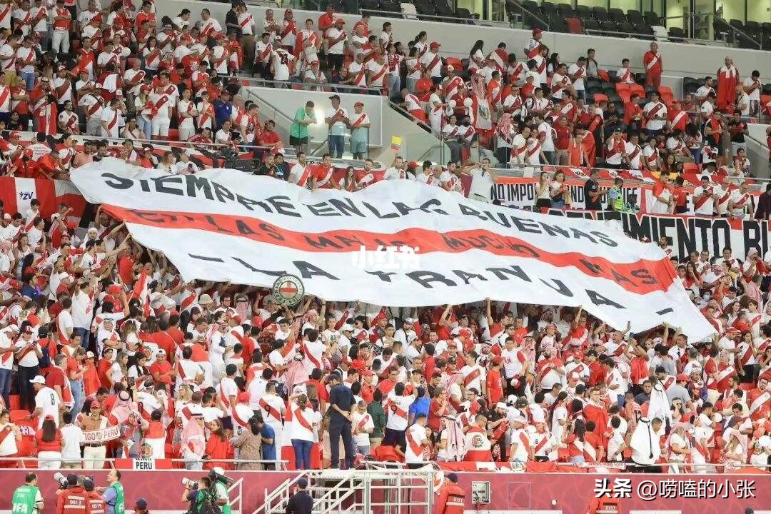 卡塔尔世界杯观众戴口罩吗,卡塔尔世界杯现场观众戴口罩吗