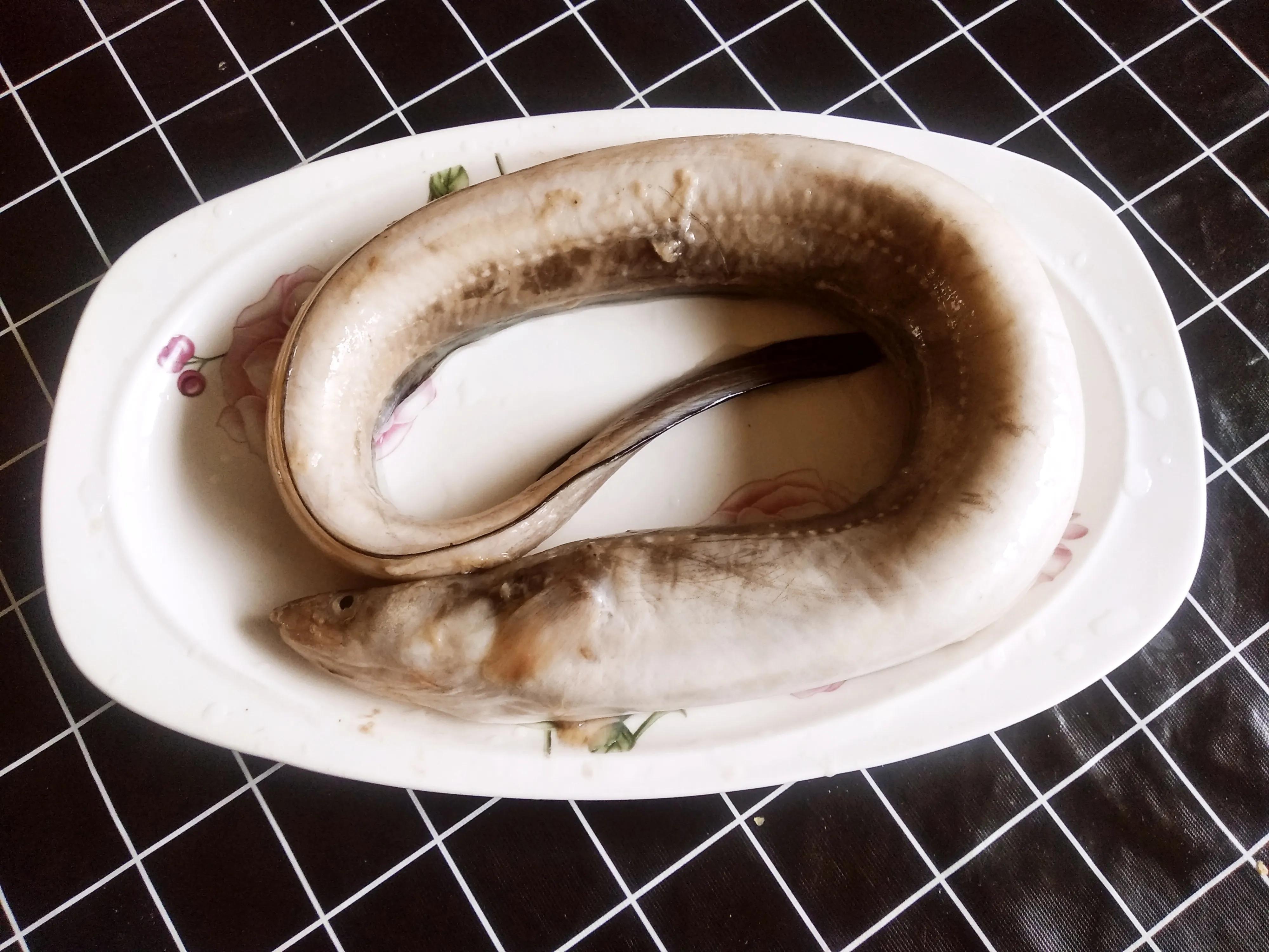 30种最常吃的海鱼图片大全,比较常见可以吃的海鱼