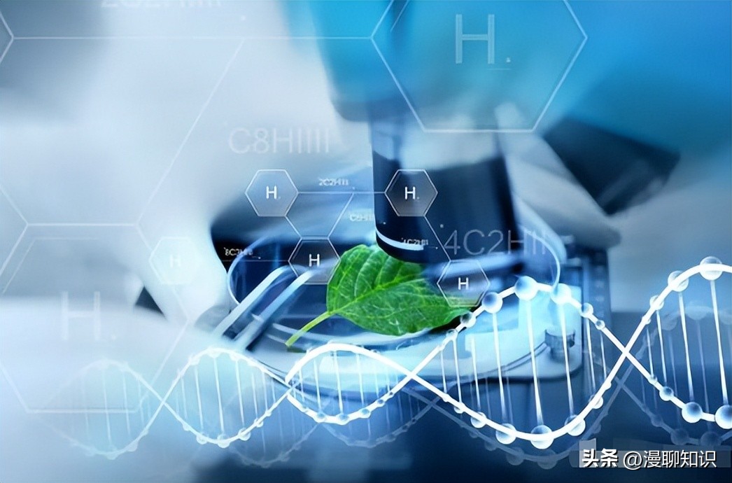 呕吐毒素超标对人体有什么危害,呕吐毒素多少剂量对身体造成危害