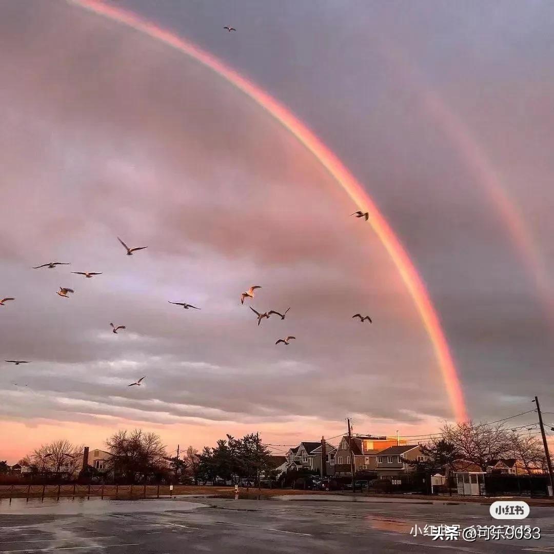 治愈系神仙温柔文案配音,唯美文案治愈系小短文