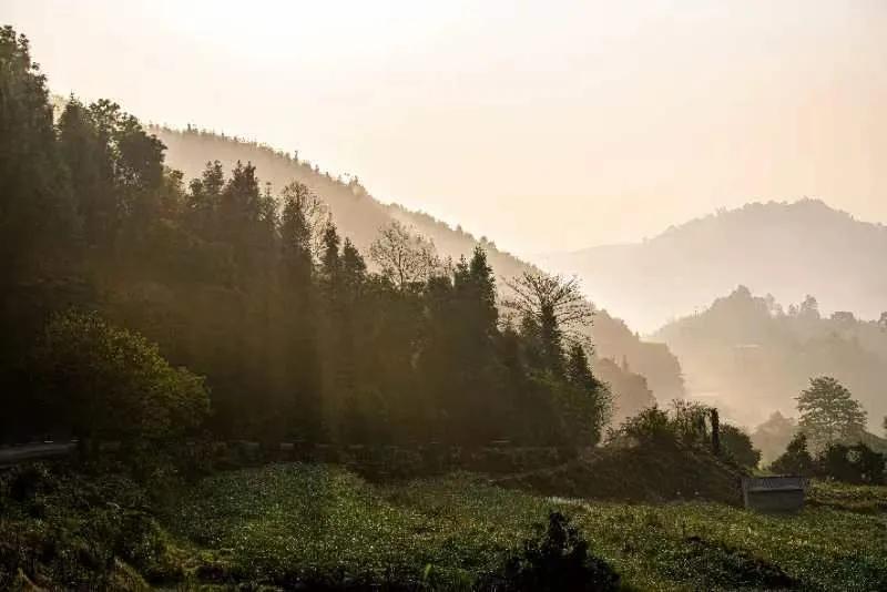 投资理财机会在哪里,投资理财怎么入门第一年才能赚钱