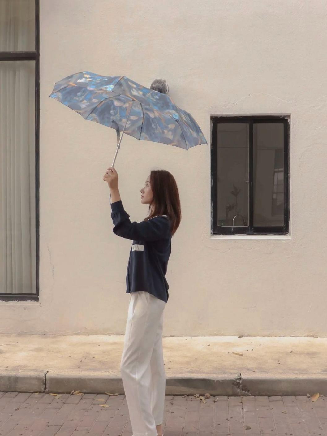 1万块钱可以买小雨伞吗,1万元以下雨伞