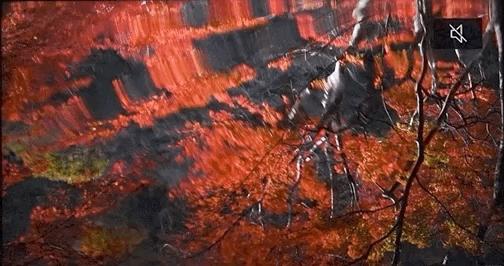 松下电视75jx900c评测,4k120hz电视hdmi2.1