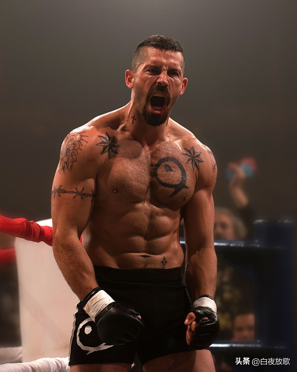 现今世界影坛当红的十位动作打星，个个真材实料非常能打